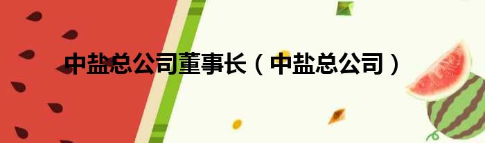 中盐总公司董事长（中盐总公司）