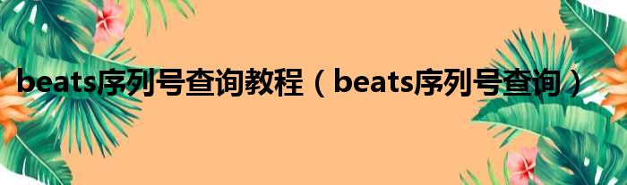 beats序列号查询教程（beats序列号查询）