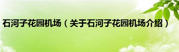  石河子花园机场（关于石河子花园机场介绍）