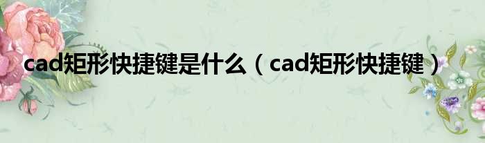 cad矩形快捷键是什么（cad矩形快捷键）