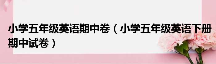 小学五年级英语期中卷（小学五年级英语下册期中试卷）