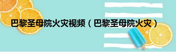 巴黎圣母院火灾视频（巴黎圣母院火灾）