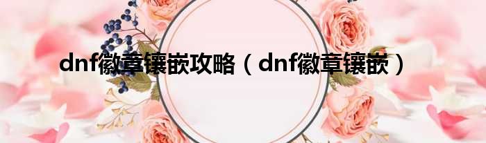 dnf徽章镶嵌攻略（dnf徽章镶嵌）