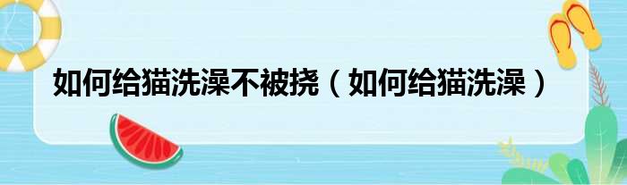 如何给猫洗澡不被挠（如何给猫洗澡）