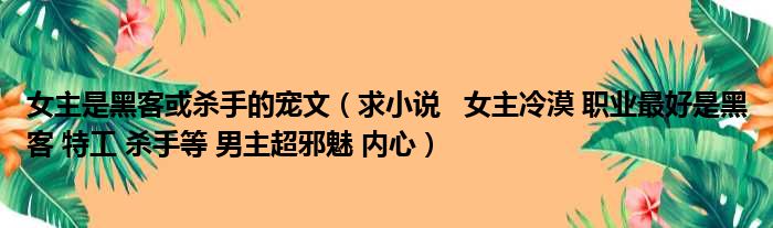 女主是黑客或杀手的宠文（求小说   女主冷漠 职业最好是黑客 特工 杀手等 男主超邪魅 内心）