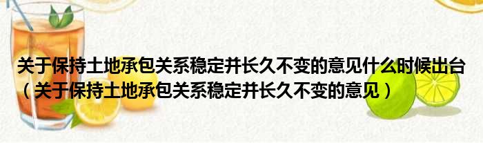 关于保持土地承包关系稳定并长久不变的意见什么时候出台（关于保持土地承包关系稳定并长久不变的意见）