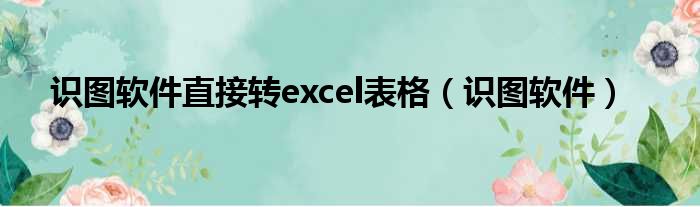 识图软件直接转excel表格（识图软件）