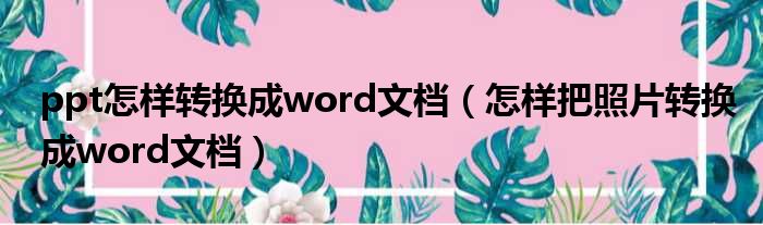 ppt怎样转换成word文档（怎样把照片转换成word文档）