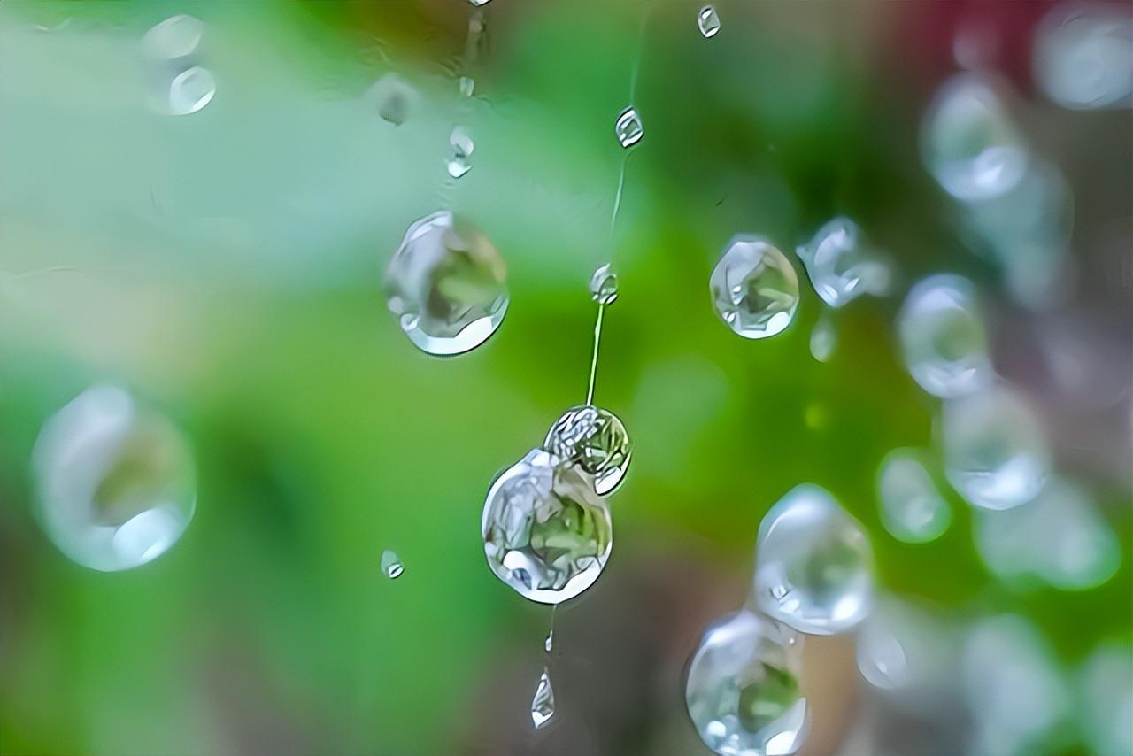 五月是所谓的黄梅时节（黄梅时节是什么季节）(图3)