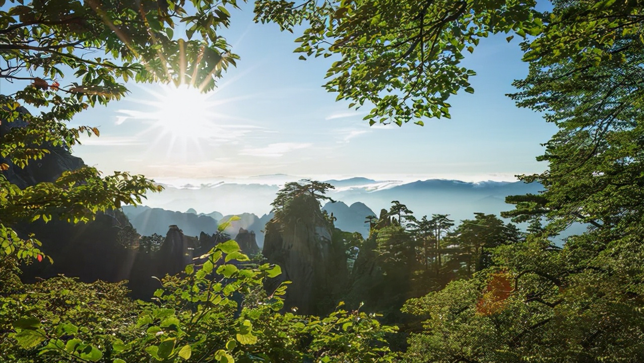 黄山旅游是哪个省（黄山在哪省哪个市区）(图4)