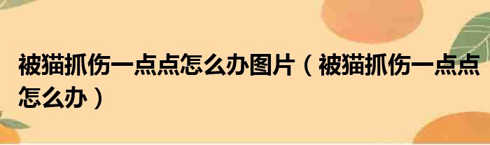 被猫抓伤一点点怎么办图片（被猫抓伤一点点怎么办）