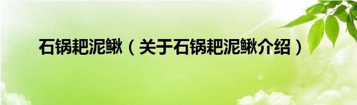  石锅耙泥鳅（关于石锅耙泥鳅介绍）