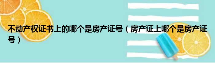 不动产权证书上的哪个是房产证号（房产证上哪个是房产证号）