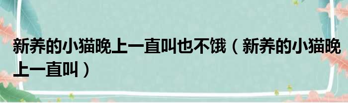 新养的小猫晚上一直叫也不饿（新养的小猫晚上一直叫）