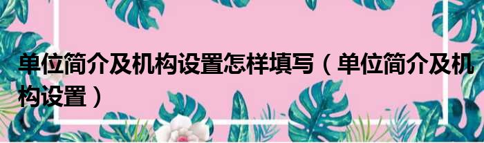 单位简介及机构设置怎样填写（单位简介及机构设置）