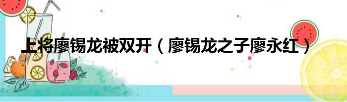 上将廖锡龙被双开（廖锡龙之子廖永红）