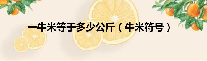 一牛米等于多少公斤（牛米符号）