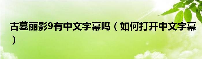 古墓丽影9有中文字幕吗（如何打开中文字幕）