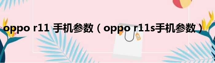 oppo r11 手机参数（oppo r11s手机参数）