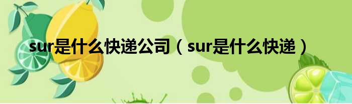 sur是什么快递公司（sur是什么快递）