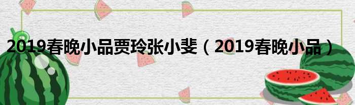 2019春晚小品贾玲张小斐（2019春晚小品）