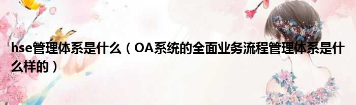 hse管理体系是什么（OA系统的全面业务流程管理体系是什么样的）