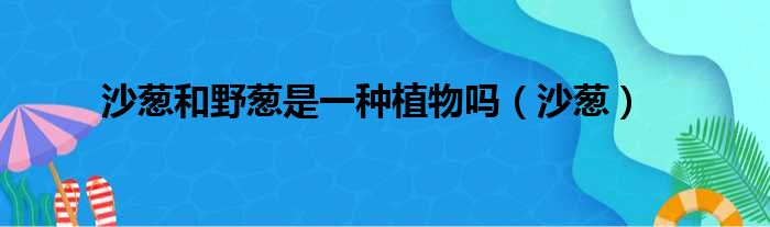 沙葱和野葱是一种植物吗（沙葱）