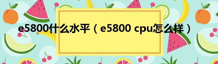 e5800什么水平（e5800 cpu怎么样）