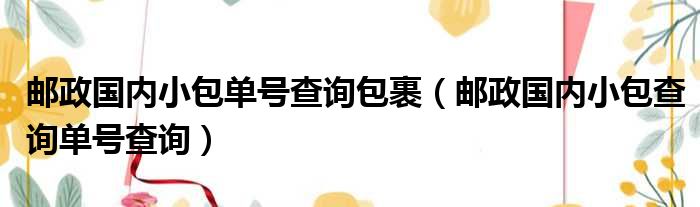 邮政国内小包单号查询包裹（邮政国内小包查询单号查询）