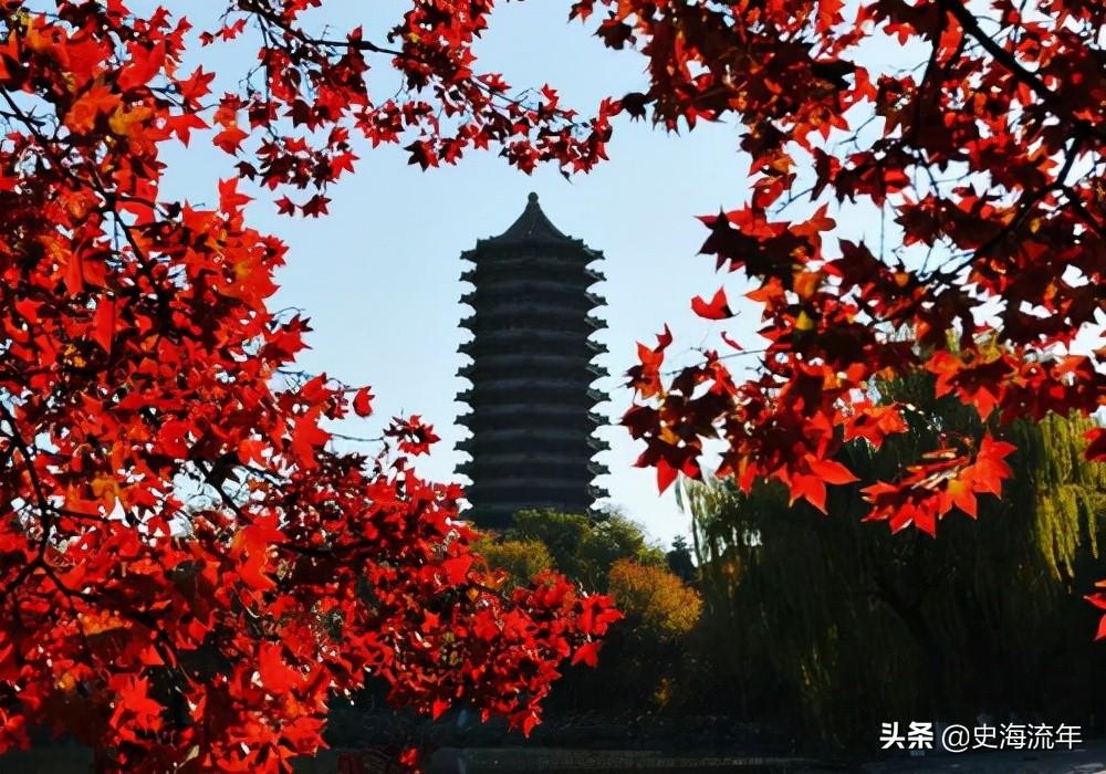 北京大学历年研究生复试分数线（北京大学研究生分数线）(图11)