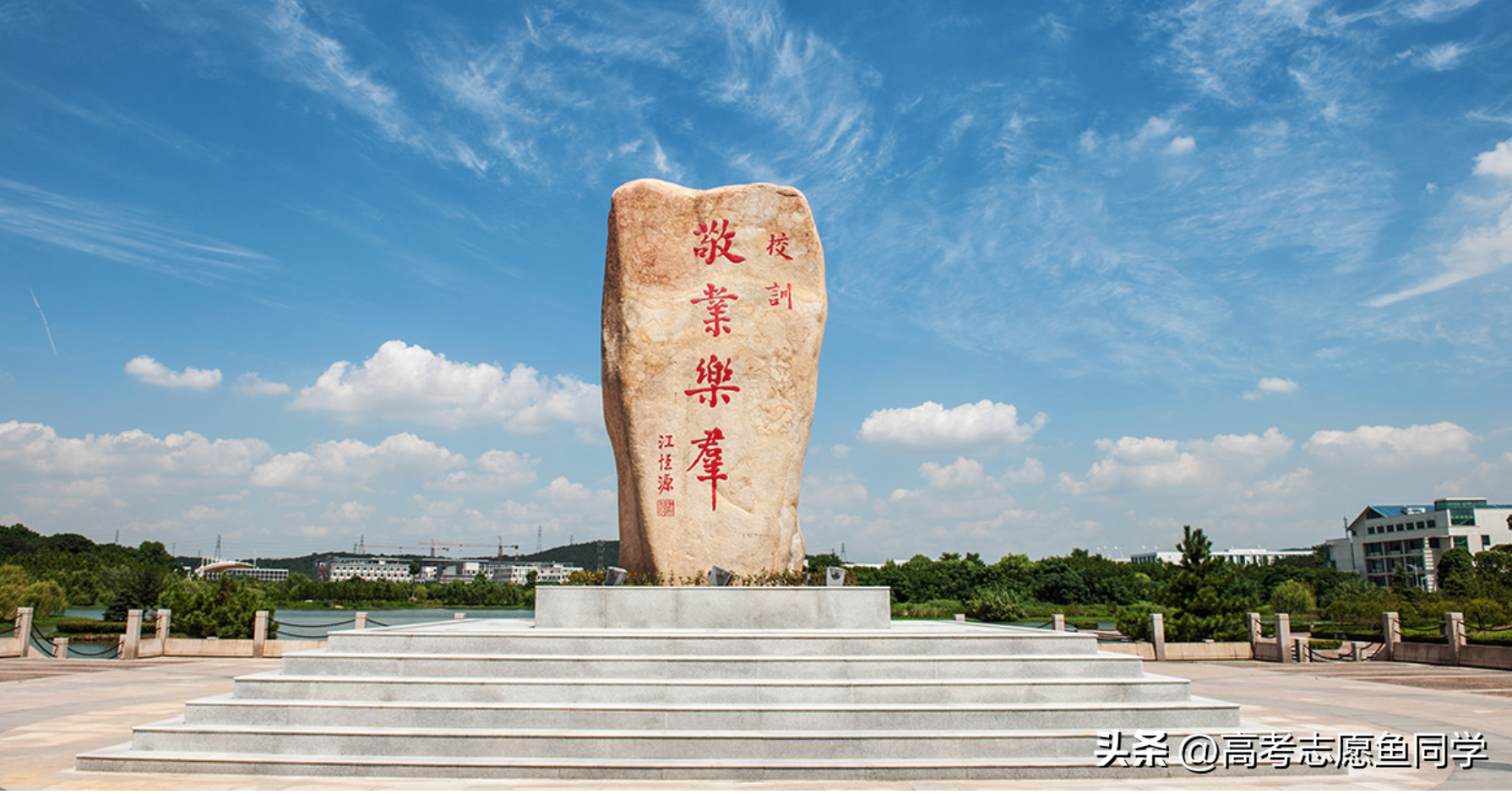 国内职业学院排名（本科职业院校有哪些学校）(图1)