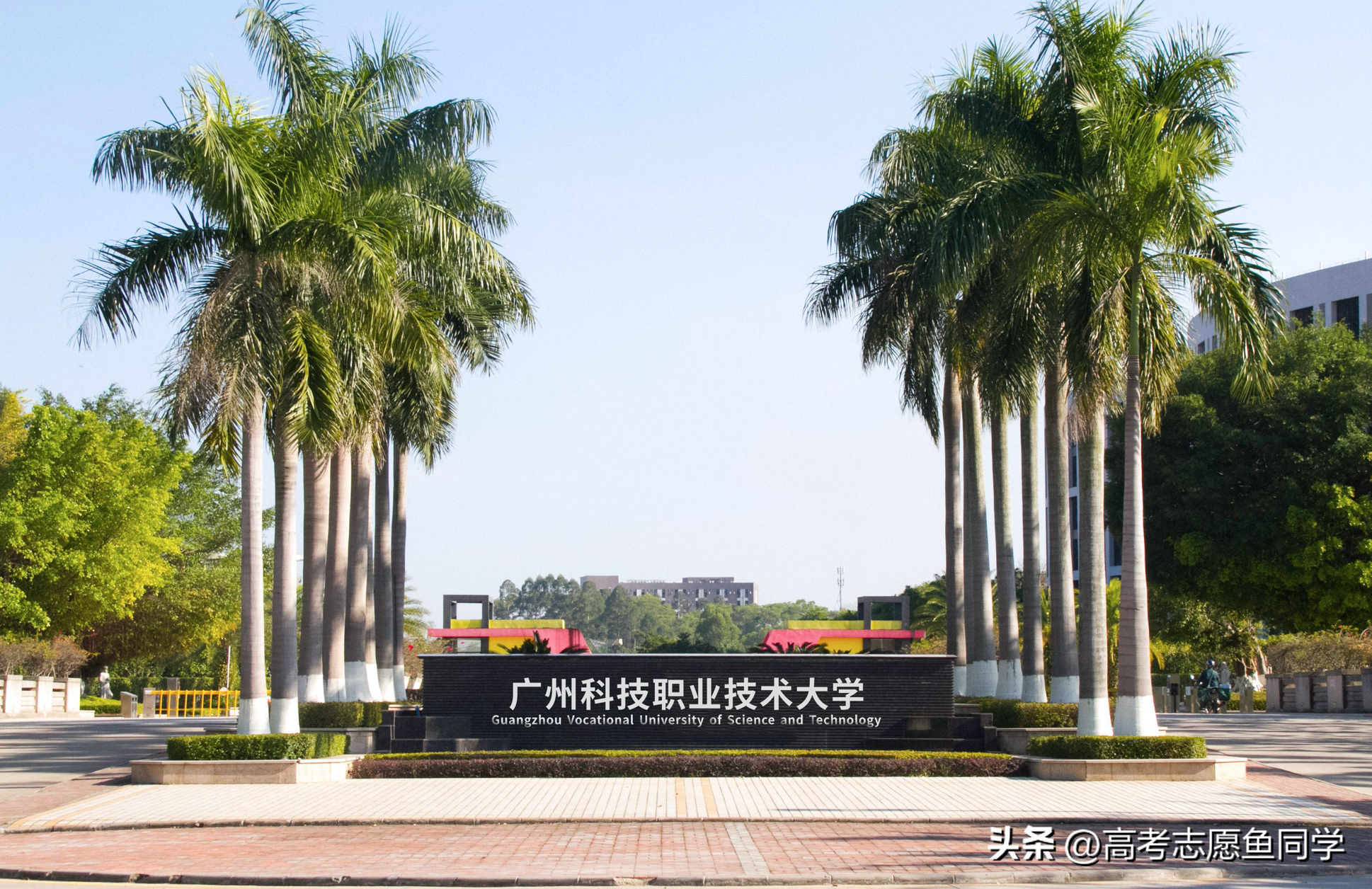 国内职业学院排名（本科职业院校有哪些学校）(图3)