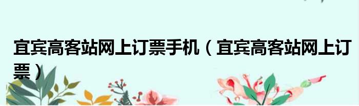 宜宾高客站网上订票手机（宜宾高客站网上订票）