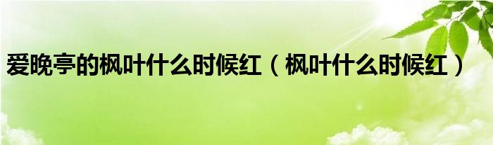 爱晚亭的枫叶什么时候红（枫叶什么时候红）