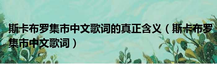 斯卡布罗集市中文歌词的真正含义（斯卡布罗集市中文歌词）