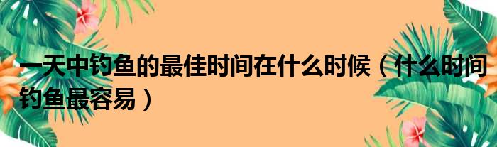 一天中钓鱼的最佳时间在什么时候（什么时间钓鱼最容易）