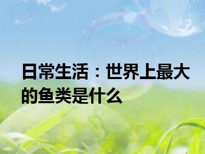 日常生活：世界上最大的鱼类是什么