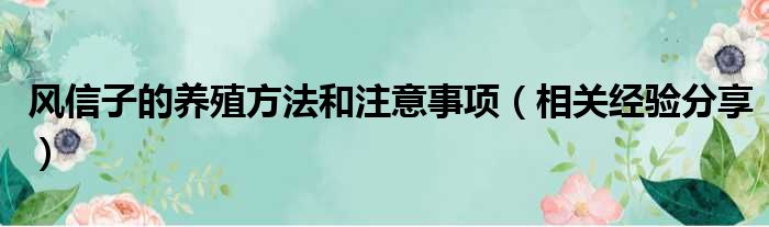 风信子的养殖方法和注意事项（相关经验分享）