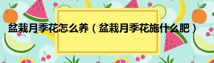 盆栽月季花怎么养（盆栽月季花施什么肥）