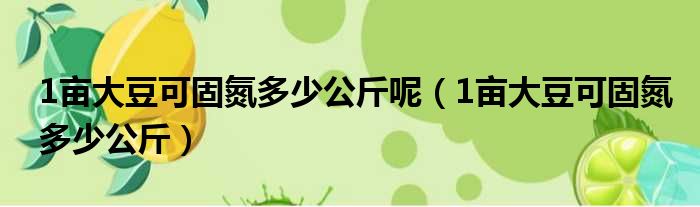 1亩大豆可固氮多少公斤呢（1亩大豆可固氮多少公斤）