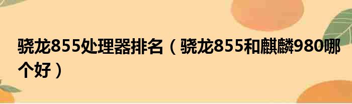 骁龙855处理器排名（骁龙855和麒麟980哪个好）