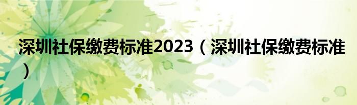 深圳社保缴费标准2023（深圳社保缴费标准）