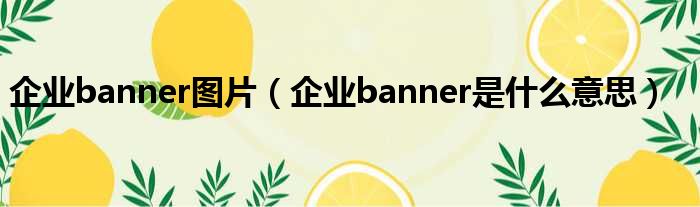 企业banner图片（企业banner是什么意思）