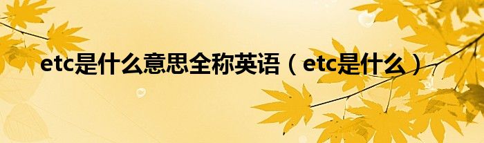 etc是什么意思全称英语（etc是什么）