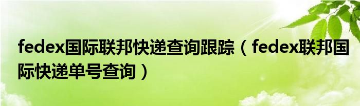 fedex国际联邦快递查询跟踪（fedex联邦国际快递单号查询）