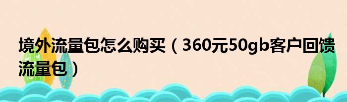 境外流量包怎么购买（360元50gb客户回馈流量包）