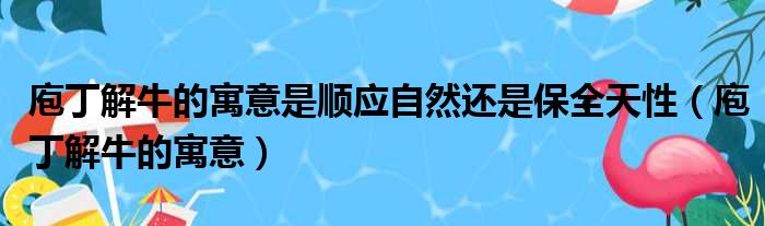 庖丁解牛的寓意是顺应自然还是保全天性（庖丁解牛的寓意）