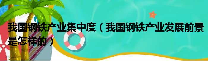 我国钢铁产业集中度（我国钢铁产业发展前景是怎样的）