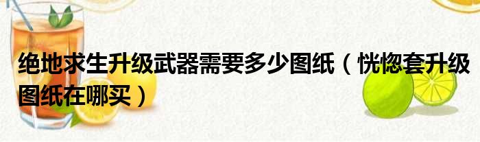 绝地求生升级武器需要多少图纸（恍惚套升级图纸在哪买）