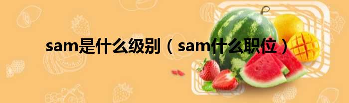 sam是什么级别（sam什么职位）